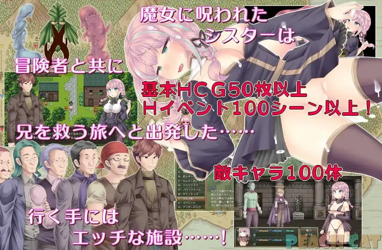 《連続絶頂 Sister Maiden／连续高潮 Sister Maiden》游戏封面