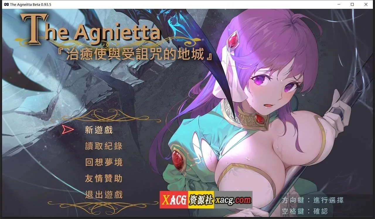 《The Agnietta 治愈使与受诅咒的地下城》游戏封面